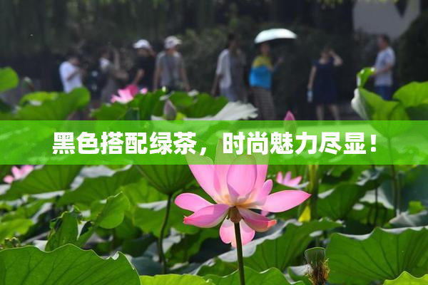 黑色搭配绿茶，时尚魅力尽显！