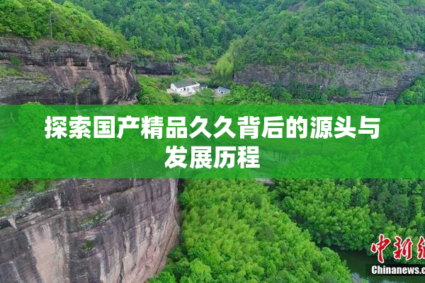 探索国产精品久久背后的源头与发展历程