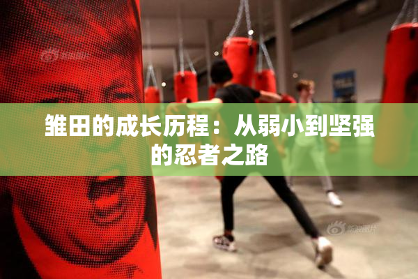 雏田的成长历程：从弱小到坚强的忍者之路