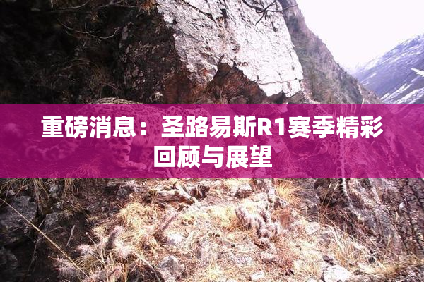 重磅消息：圣路易斯R1赛季精彩回顾与展望