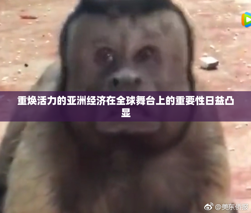 重焕活力的亚洲经济在全球舞台上的重要性日益凸显