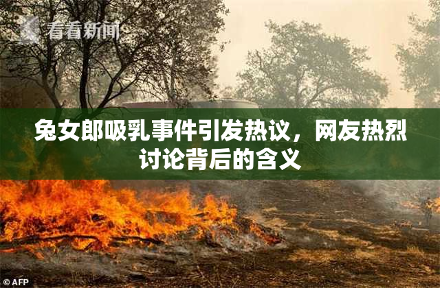 兔女郎吸乳事件引发热议，网友热烈讨论背后的含义