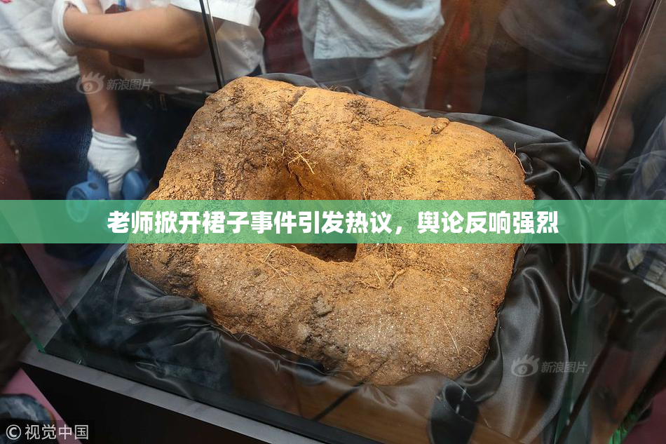 老师掀开裙子事件引发热议，舆论反响强烈