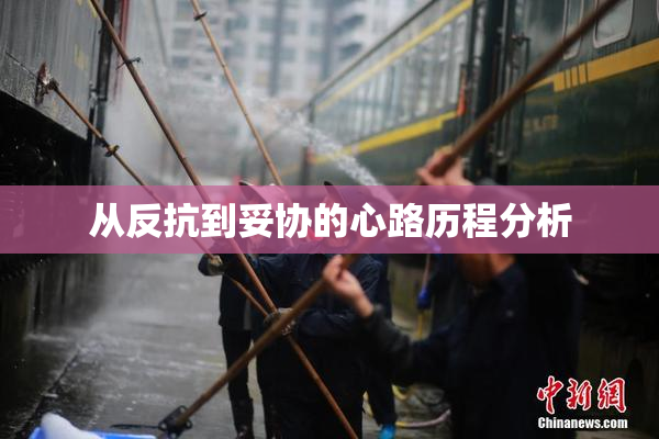 从反抗到妥协的心路历程分析