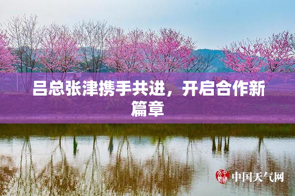 吕总张津携手共进，开启合作新篇章