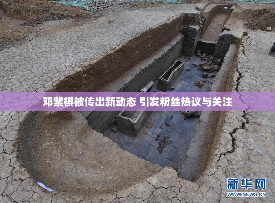 邓紫棋被传出新动态 引发粉丝热议与关注