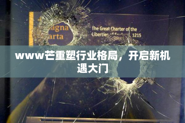 www芒重塑行业格局，开启新机遇大门