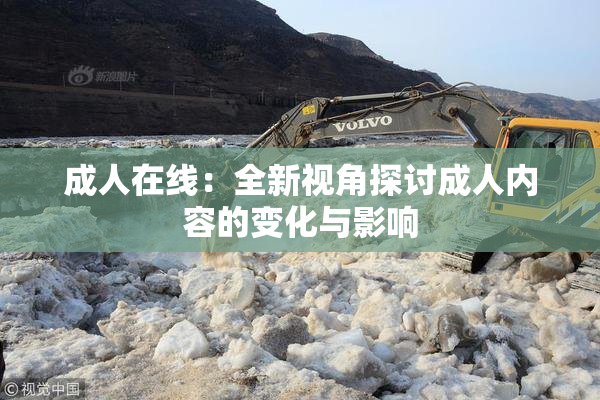 成人在线：全新视角探讨成人内容的变化与影响