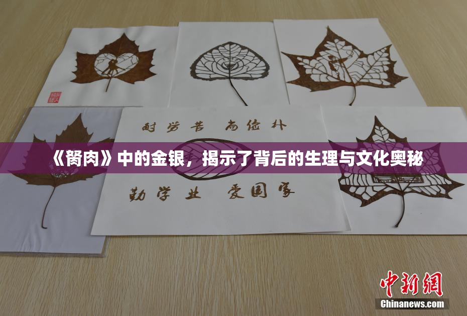 《胬肉》中的金银，揭示了背后的生理与文化奥秘