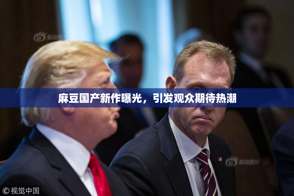 麻豆国产新作曝光，引发观众期待热潮