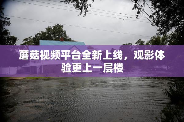 蘑菇视频平台全新上线，观影体验更上一层楼