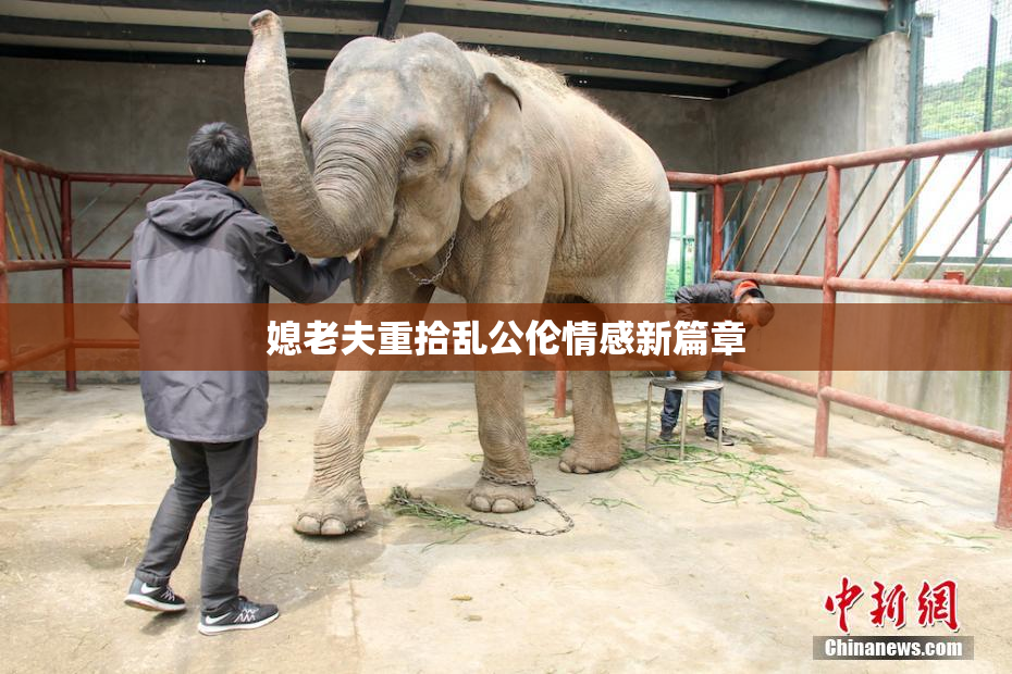 媳老夫重拾乱公伦情感新篇章