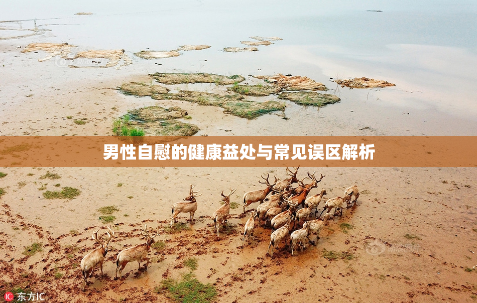 男性自慰的健康益处与常见误区解析