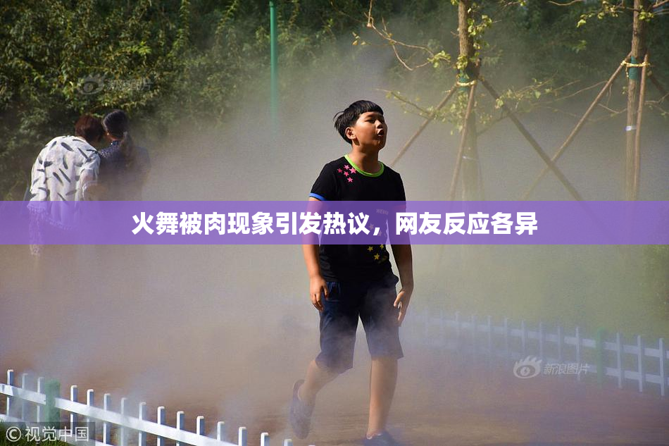 火舞被肉现象引发热议，网友反应各异