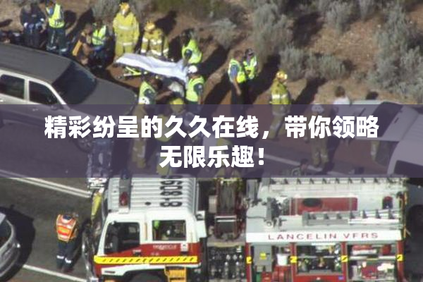 精彩纷呈的久久在线，带你领略无限乐趣！