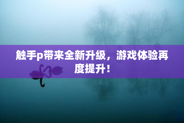 触手p带来全新升级，游戏体验再度提升！