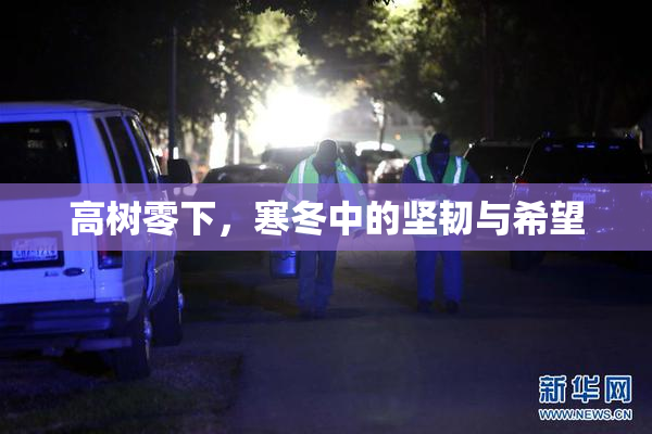 高树零下，寒冬中的坚韧与希望