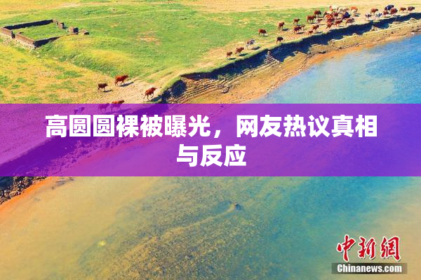 高圆圆裸被曝光，网友热议真相与反应