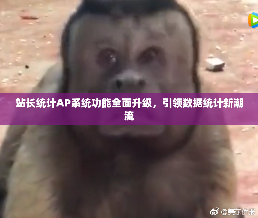站长统计AP系统功能全面升级，引领数据统计新潮流