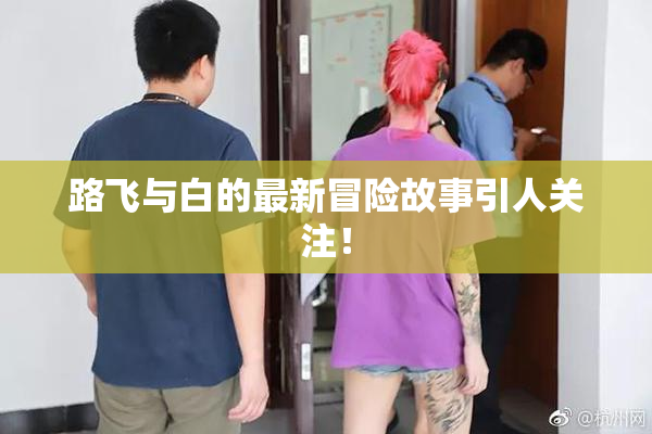 路飞与白的最新冒险故事引人关注！
