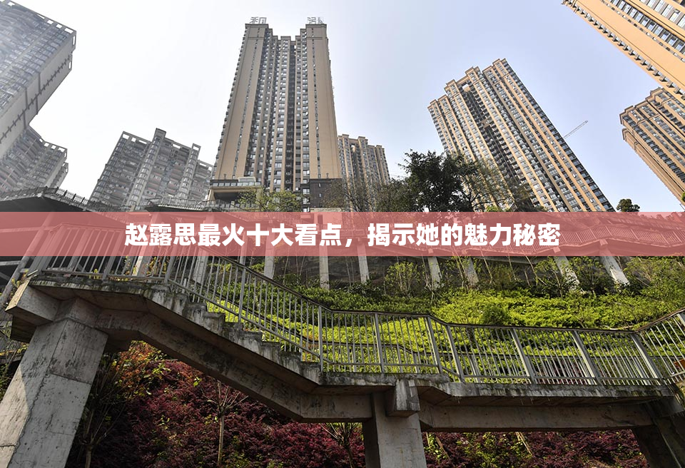 赵露思最火十大看点，揭示她的魅力秘密
