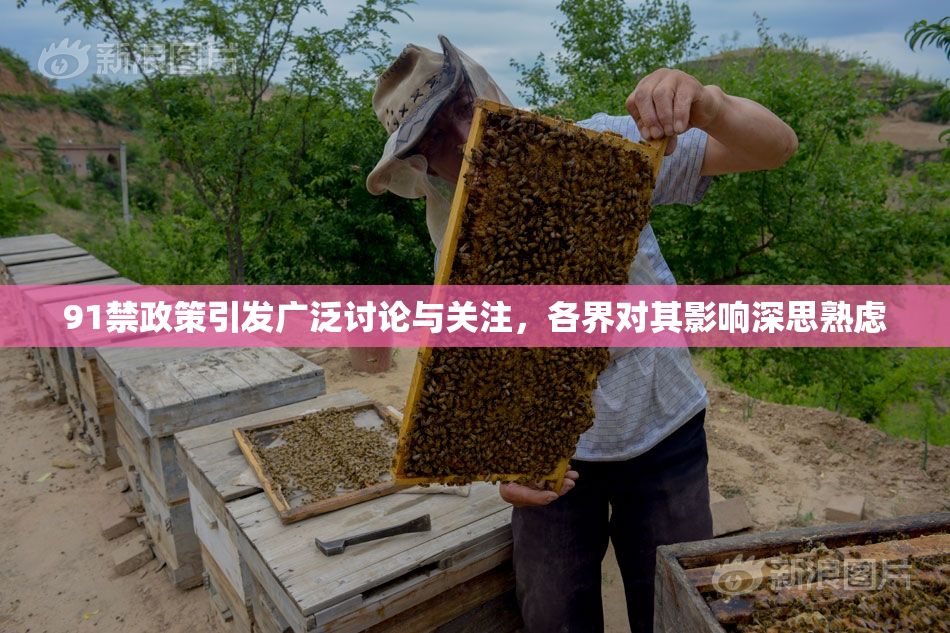 91禁政策引发广泛讨论与关注，各界对其影响深思熟虑