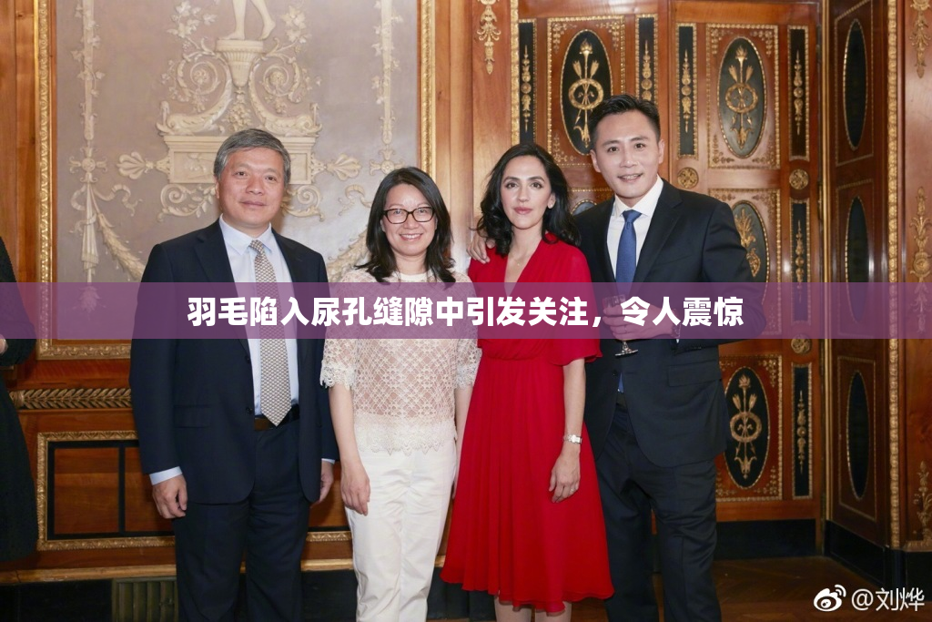 羽毛陷入尿孔缝隙中引发关注，令人震惊
