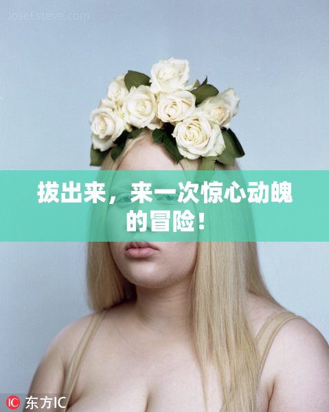 拔出来，来一次惊心动魄的冒险！