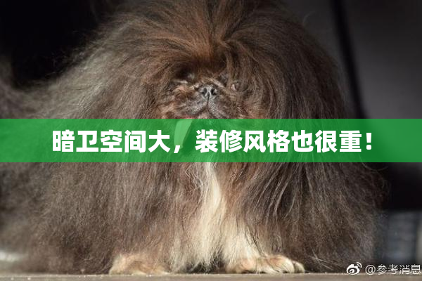 暗卫空间大，装修风格也很重！