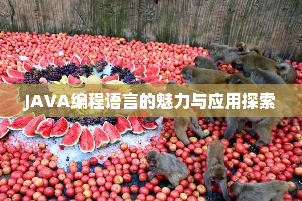 JAVA编程语言的魅力与应用探索