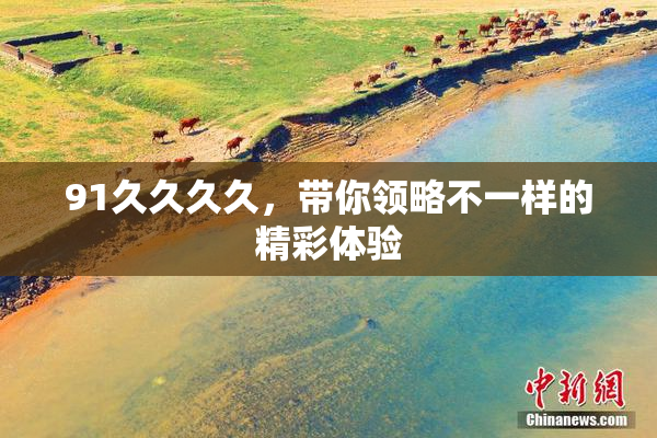 91久久久久，带你领略不一样的精彩体验