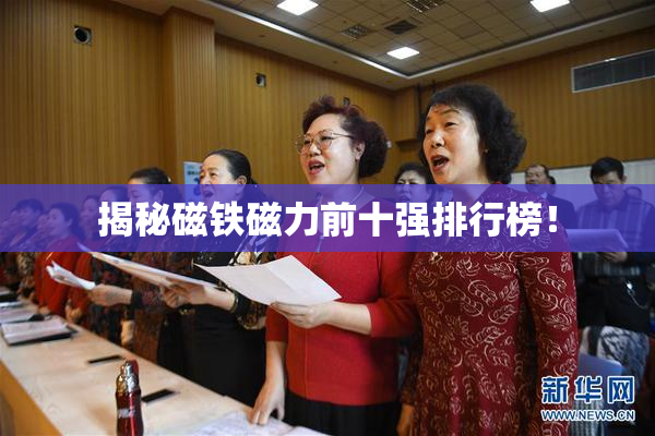 揭秘磁铁磁力前十强排行榜！