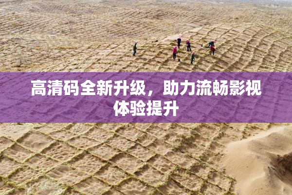 高清码全新升级，助力流畅影视体验提升