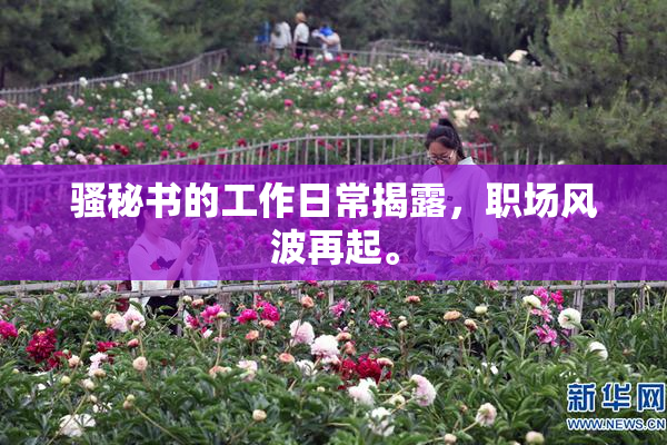 骚秘书的工作日常揭露，职场风波再起。