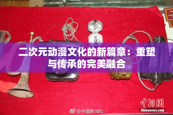二次元动漫文化的新篇章：重塑与传承的完美融合
