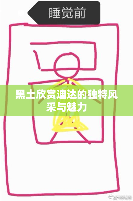 黑土欣赏迪达的独特风采与魅力