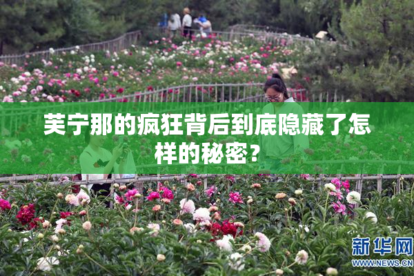 芙宁那的疯狂背后到底隐藏了怎样的秘密？