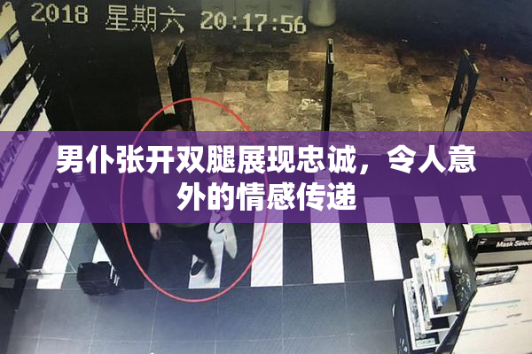 男仆张开双腿展现忠诚，令人意外的情感传递