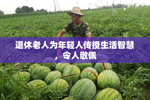 退休老人为年轻人传授生活智慧，令人敬佩