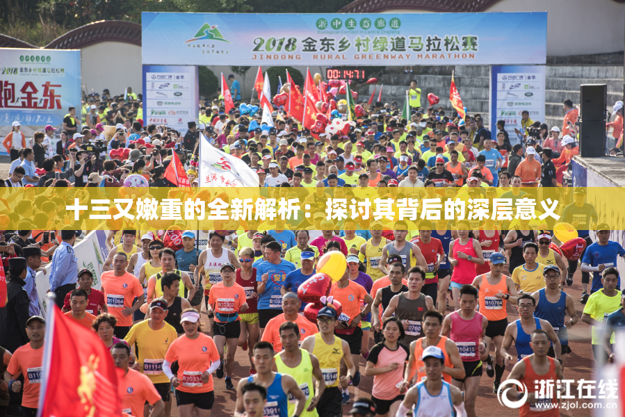 十三又嫩重的全新解析：探讨其背后的深层意义