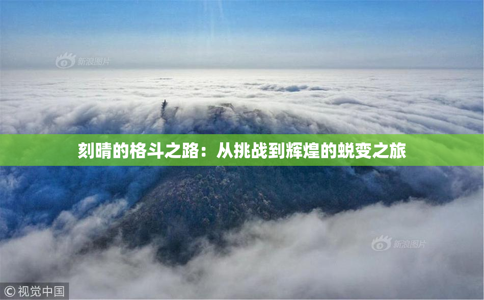 刻晴的格斗之路：从挑战到辉煌的蜕变之旅