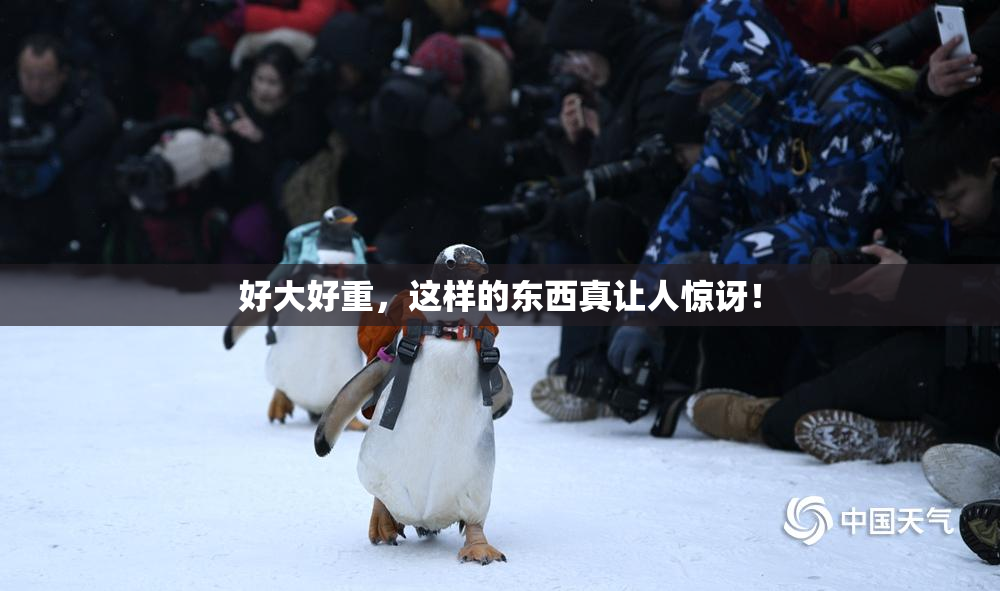 好大好重，这样的东西真让人惊讶！