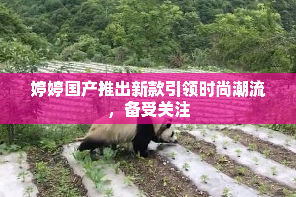 婷婷国产推出新款引领时尚潮流，备受关注