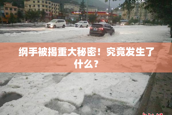 纲手被揭重大秘密！究竟发生了什么？