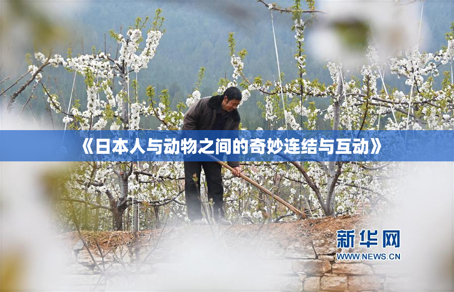 《日本人与动物之间的奇妙连结与互动》