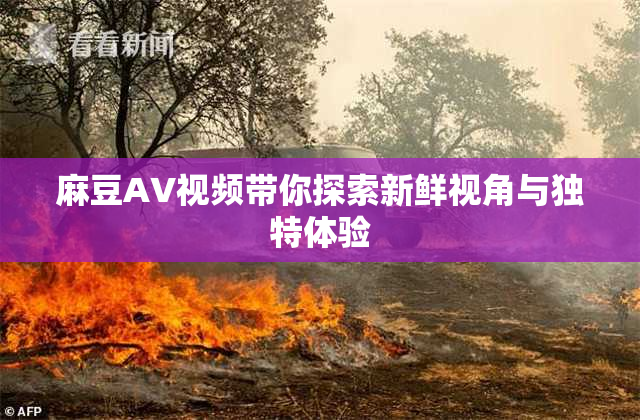 麻豆AV视频带你探索新鲜视角与独特体验
