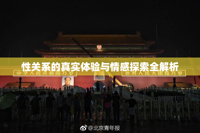 性关系的真实体验与情感探索全解析