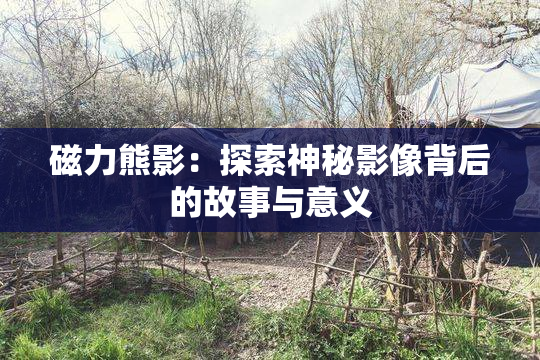磁力熊影：探索神秘影像背后的故事与意义