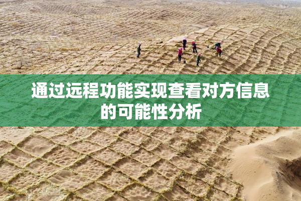 通过远程功能实现查看对方信息的可能性分析