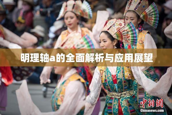 明理轴a的全面解析与应用展望